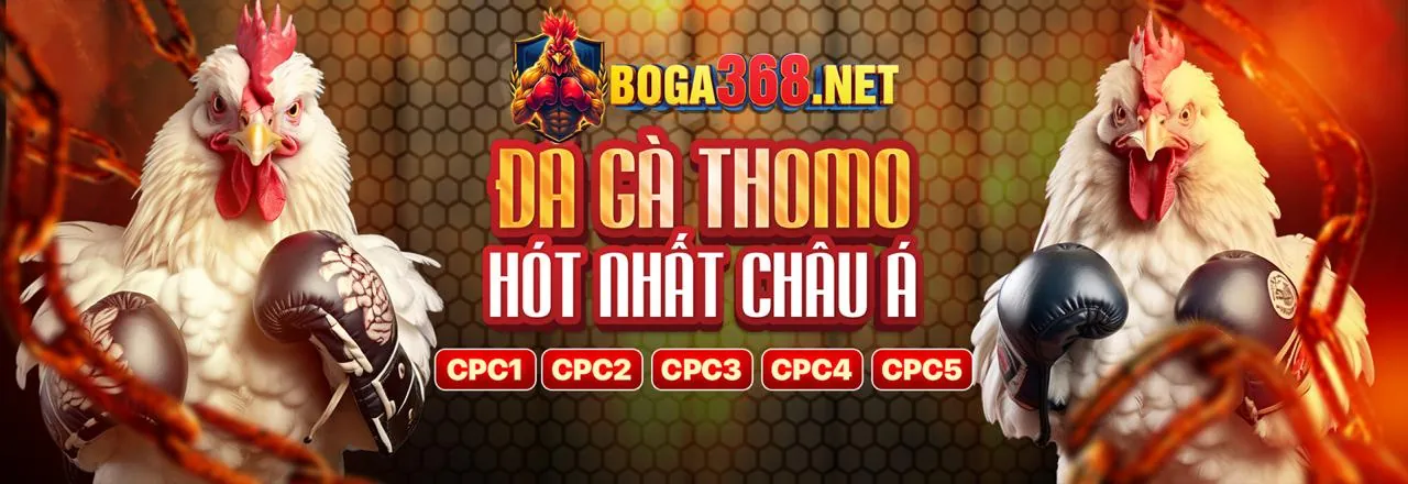 Đá gà trực tuyến kịch tính tại 3win Trang Chủ Chính Thức